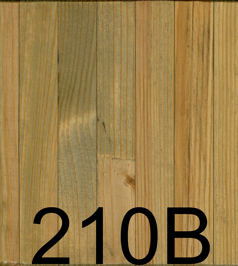 210B Stain