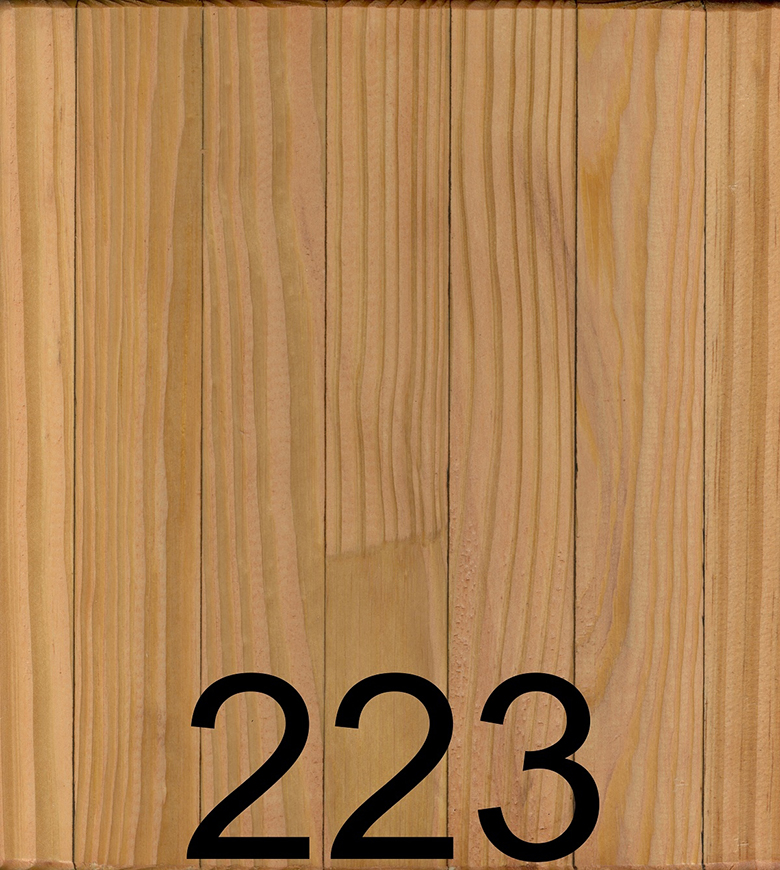 223 Stain